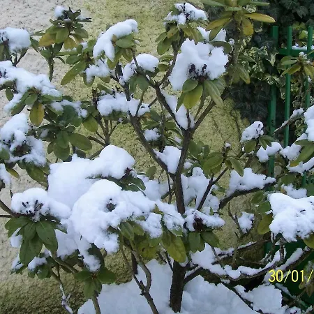 Holiday home La Cle Des Champs *